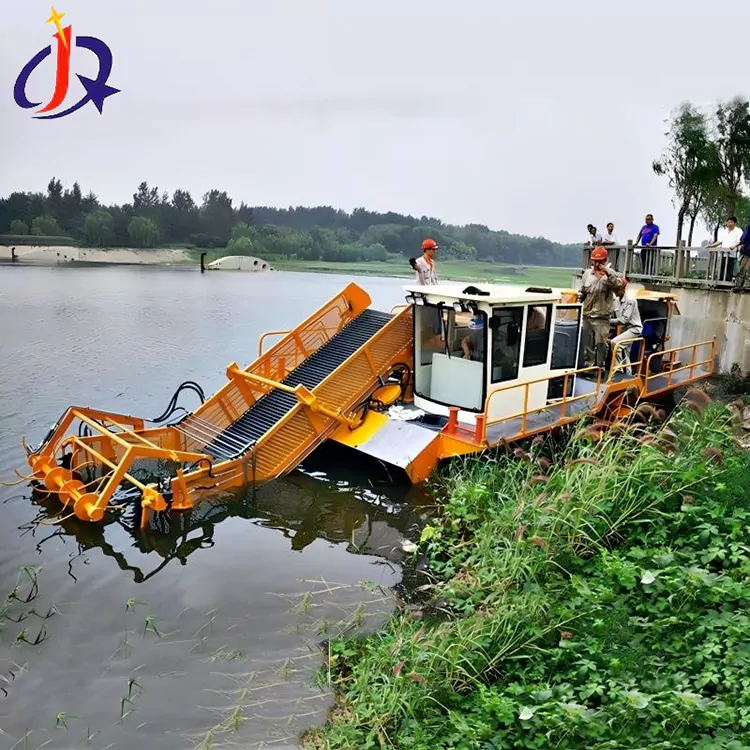 Thuyền cắt lục bình và bèo tấm